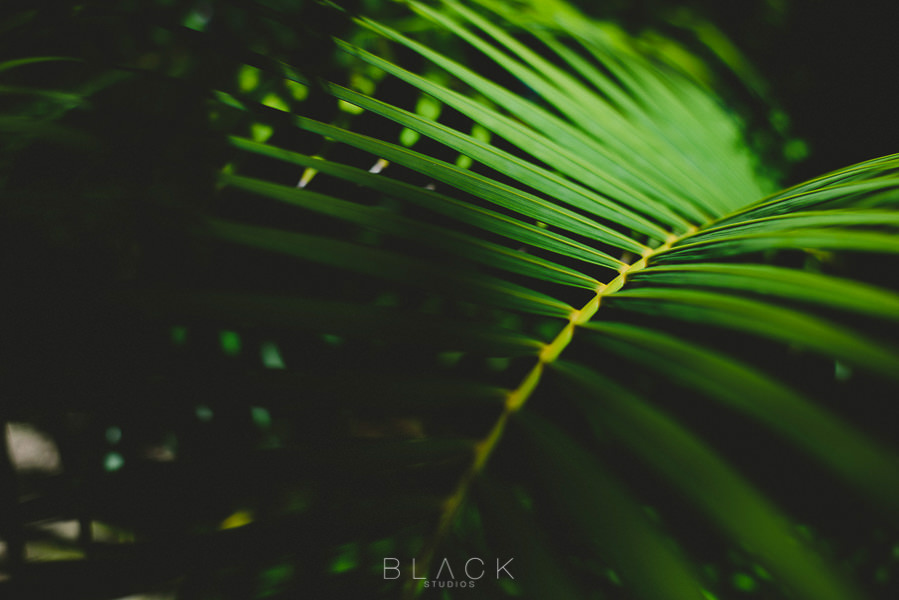 playa-del-carmen-wedding-photos-at-banyan-tree-mayakoba-6